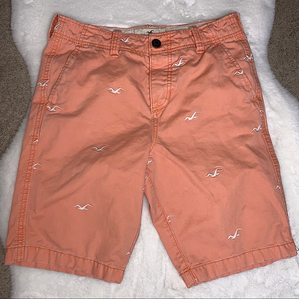 Hollister Men’s SZ 28 Button Fly Shorts